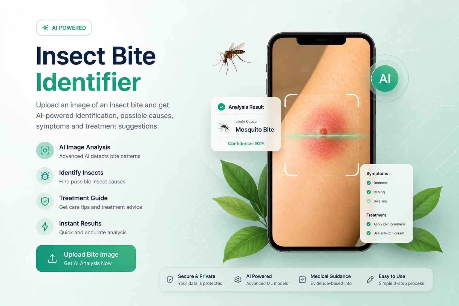 Insect bite identification guide