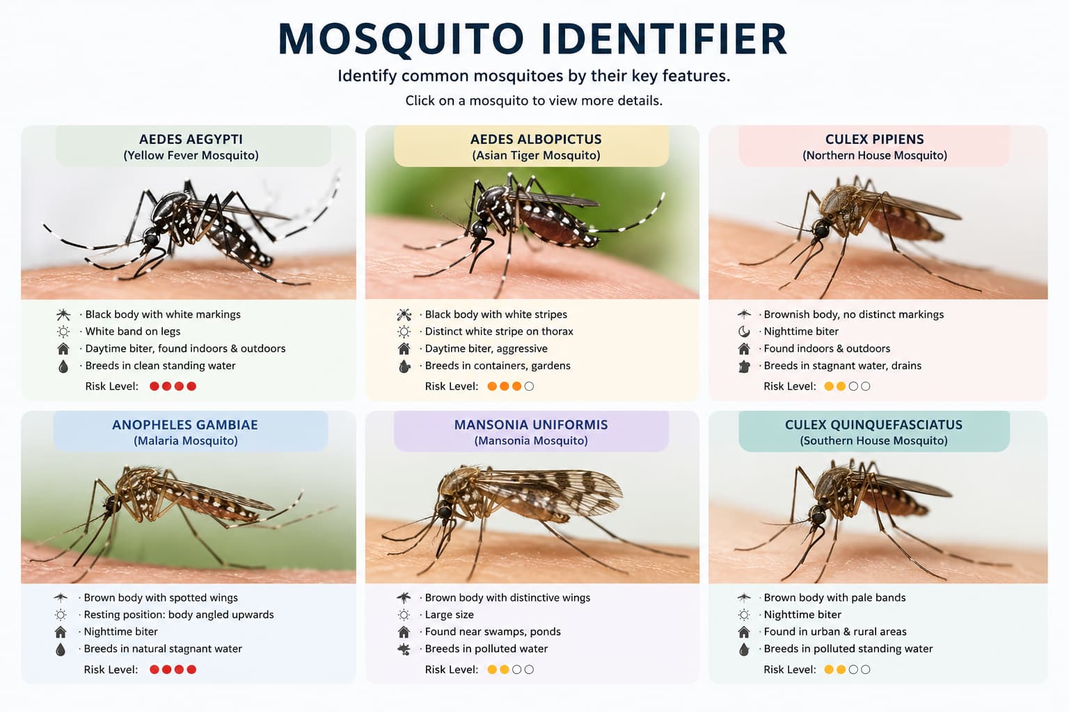 Mosquito identification using AI