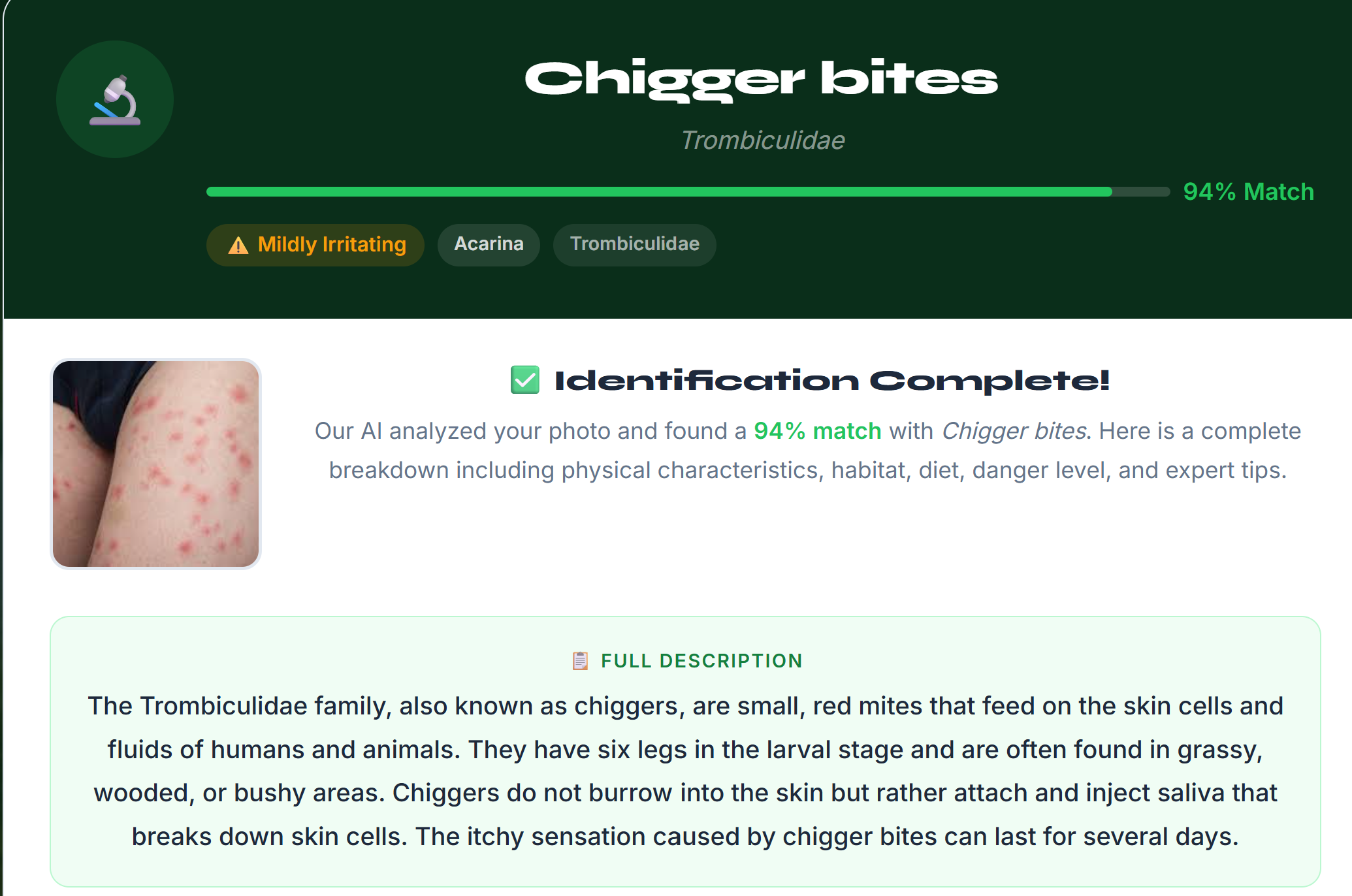 Get Instant Results